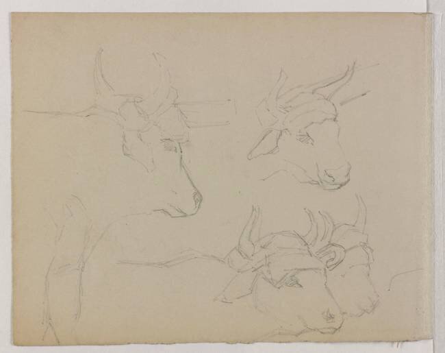Etude de boeufs et d'un bouvier Edgar Degas