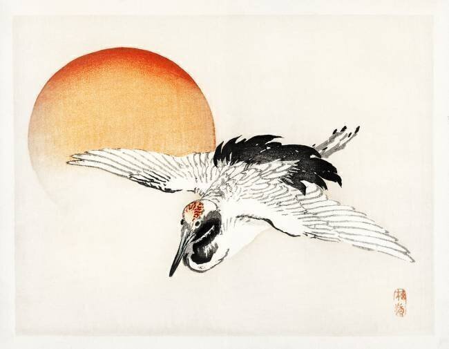 Flying crane Kono Barei