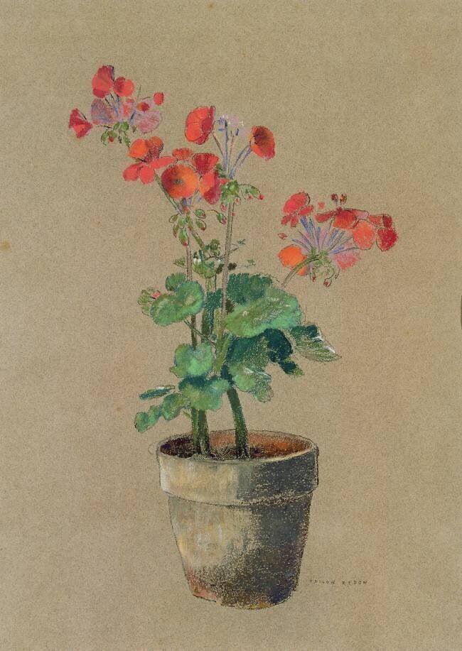 Geraniums in a pot Odilon Redon