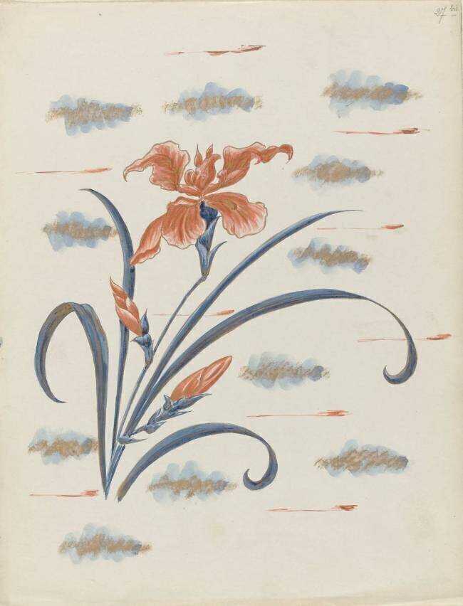 Iris Louis Hestaux