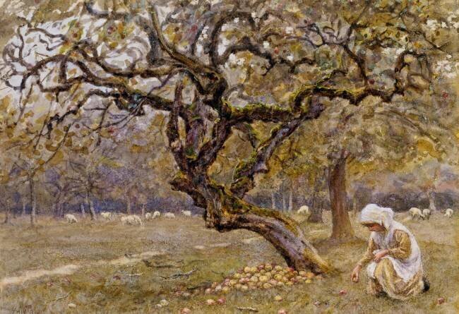 La pommeraie Helen Allingham