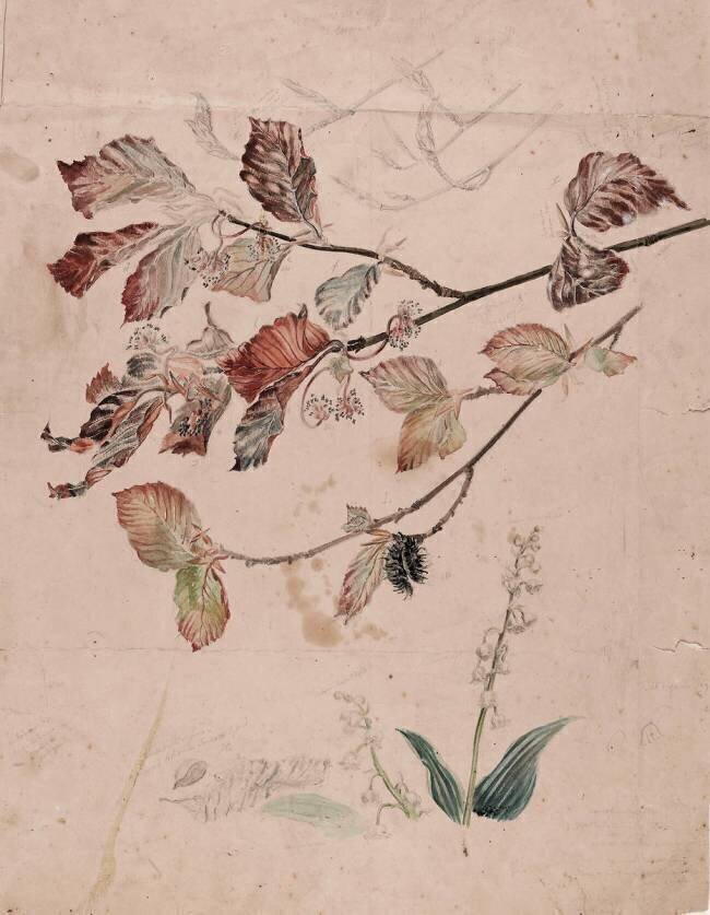 Muguet et noisetier Emile Gallé