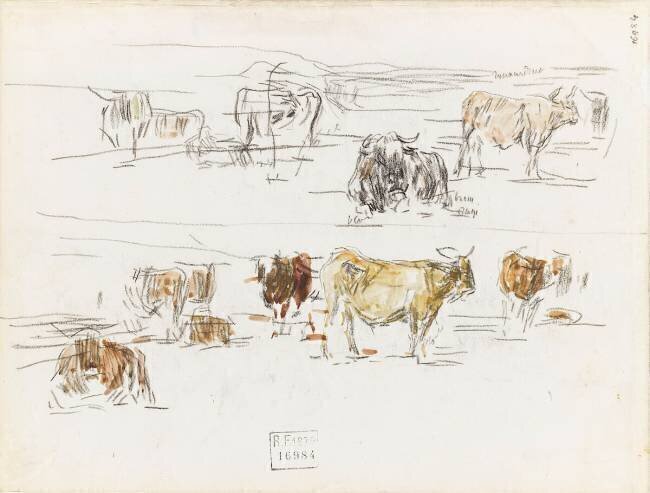 Neuf études de vaches debout ou couchées Eugène Boudin
