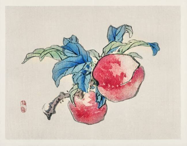 Peaches Kono Barei