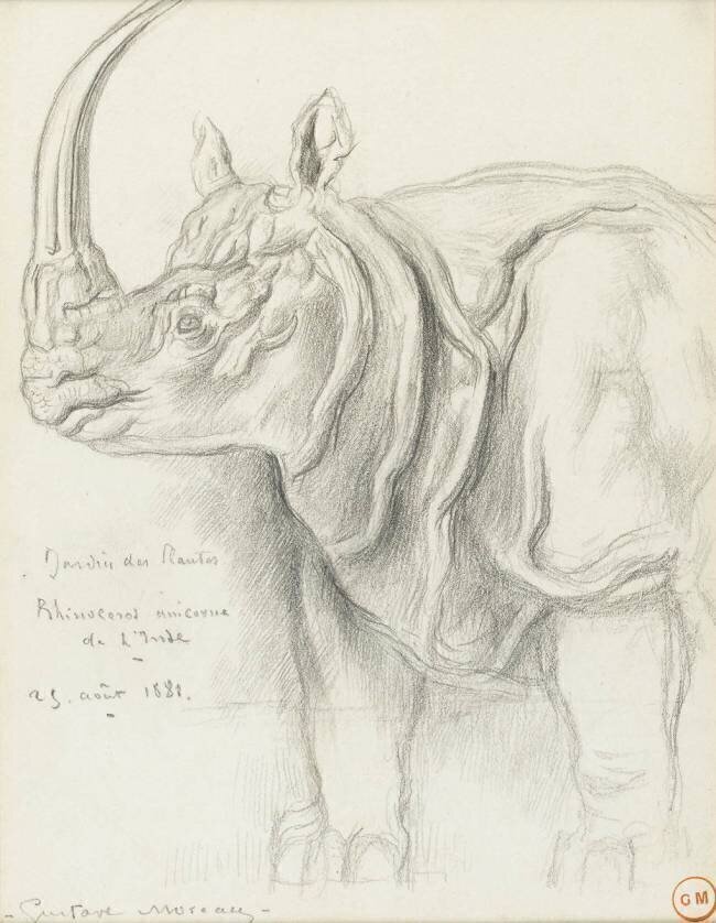 Rhinocéros Gustave Moreau