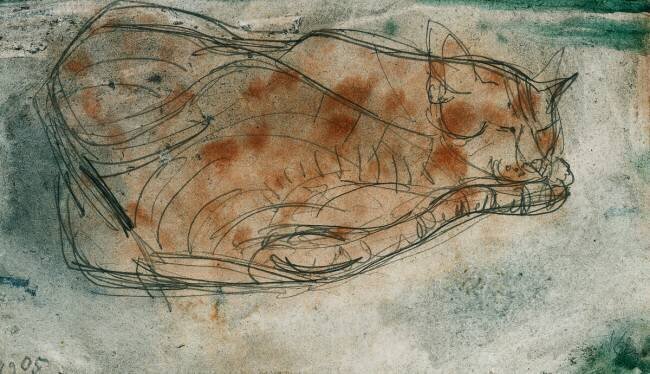 Sleeping cat Paul Klee