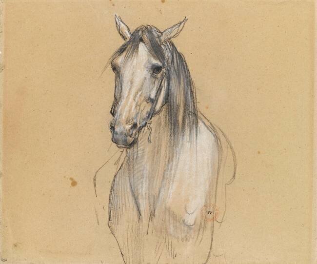 Tête de cheval Eugène Fromentin