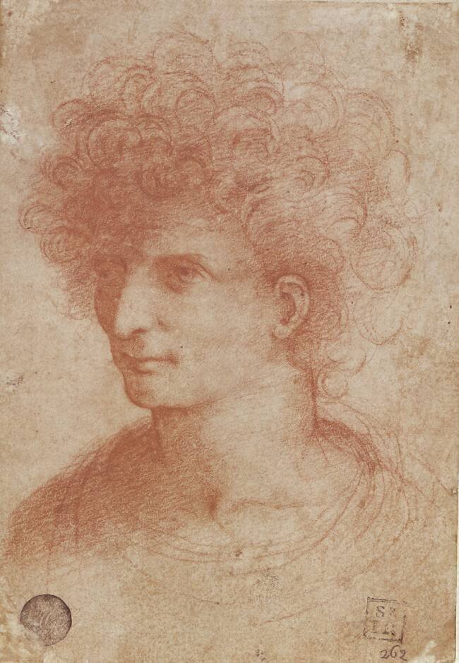Bust of a young man with long hair Leonardo da Vinci