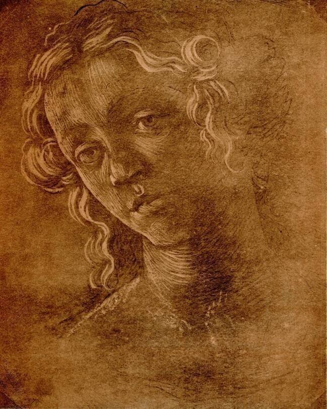 Female head Sandro Botticelli