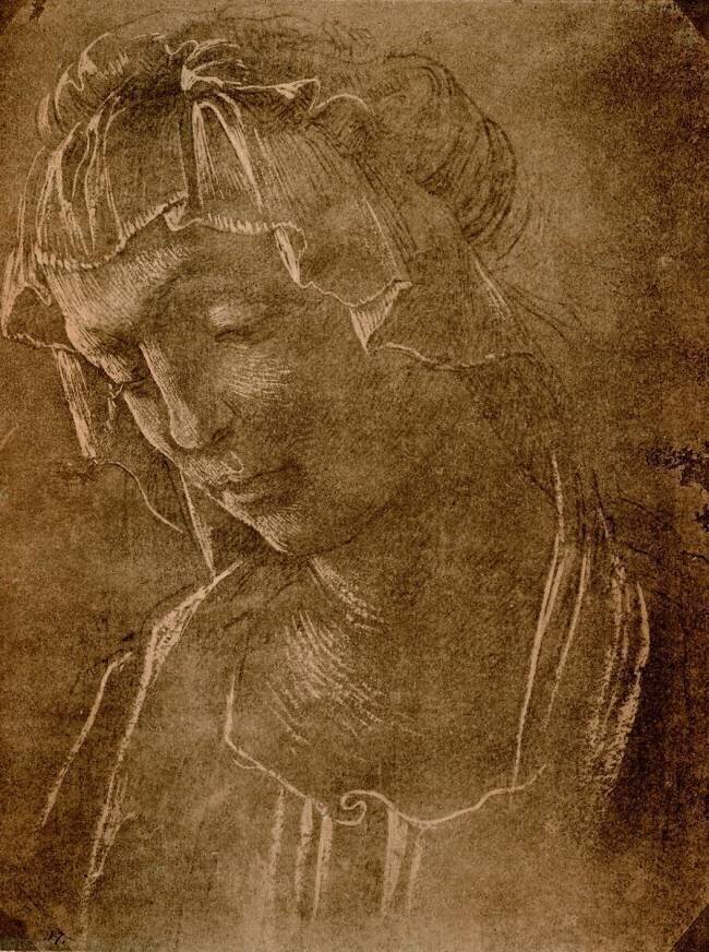 Female head Sandro Botticelli