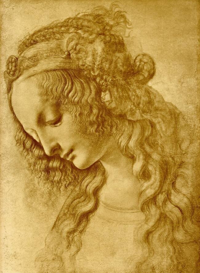 Female head Leonardo da Vinci