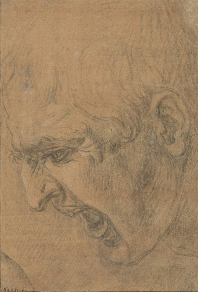Head of a screaming man Leonardo da Vinci