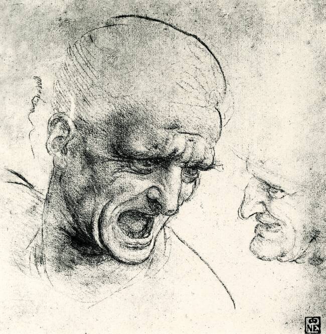 Head studies Leonardo da Vinci
