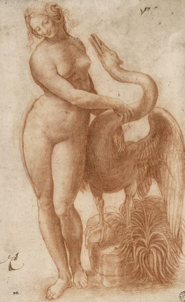 Léda nue et debout, caressée par le cygne Leonardo da Vinci
