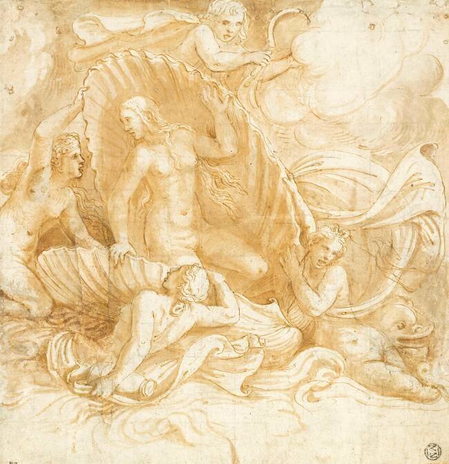 Naissance de Vénus Giulio Romano