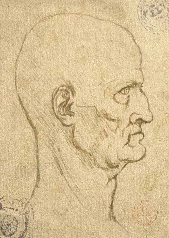 Study of human proportions Leonardo da Vinci