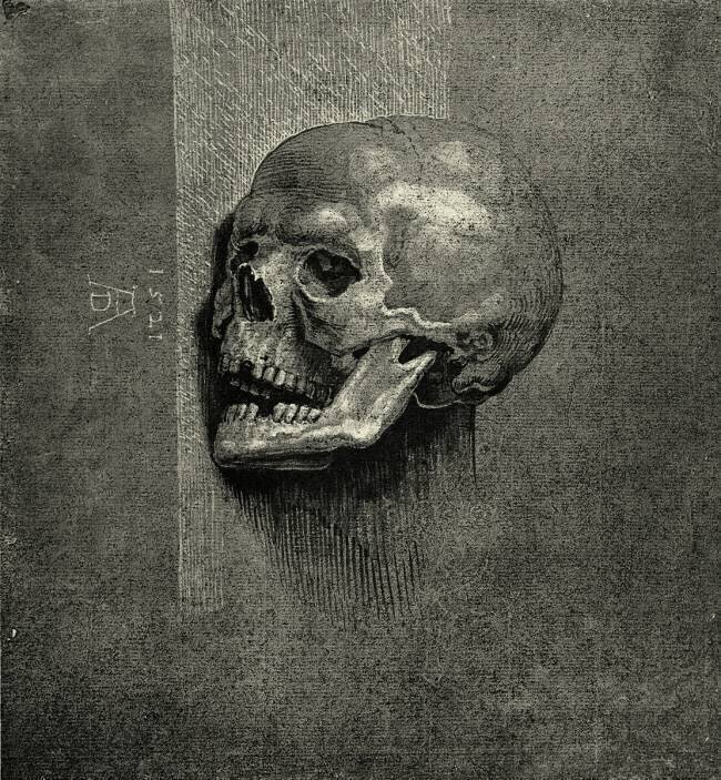 Tête de mort Albrecht Dürer