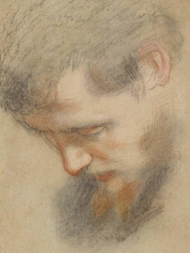 Tête d'homme barbu, de profil, penchée, regardant vers le bas Baroccio