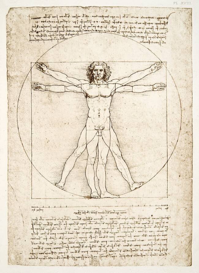 The Proportions of the human figure Leonardo da Vinci