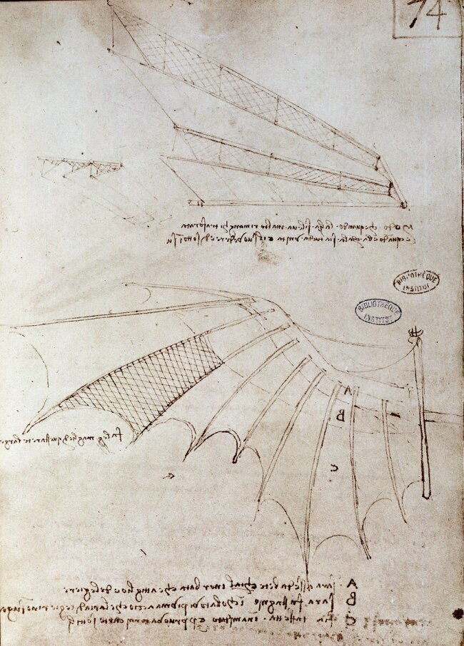Wing Leonardo da Vinci