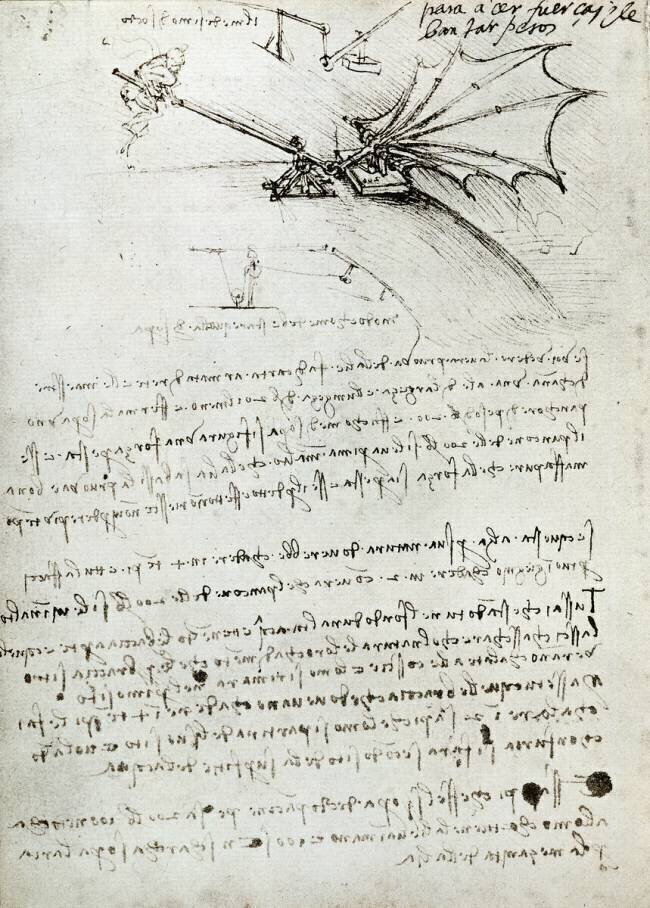 Wing training Leonardo da Vinci