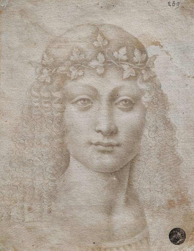 Young Bacchus Leonardo da Vinci