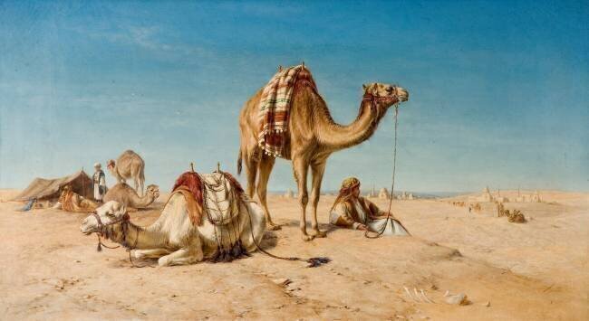 A Halt in the Desert William James Webb