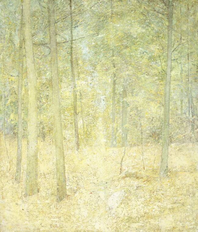 A Woodland Scene Emil Carlsen