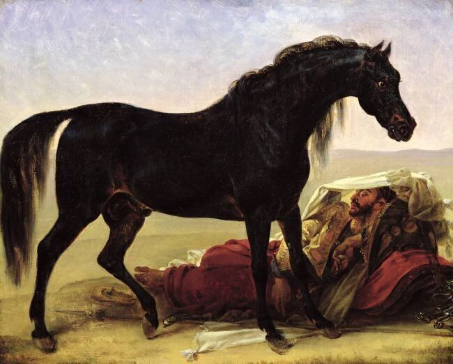 An Arabian Horse Antoine-Jean Gros