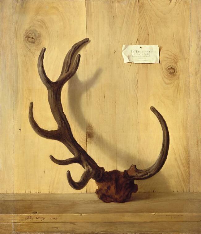 Bois bizarre d'un cerf, pris à Compiègne, 10 juillet 1749 Jean-Baptiste Oudry