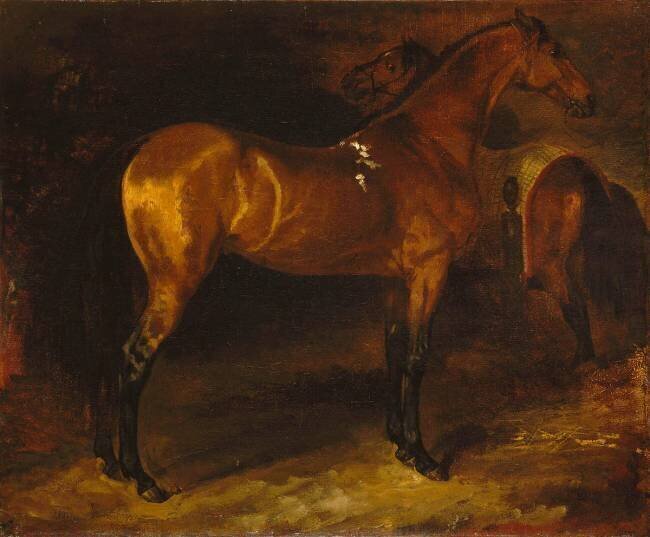Cheval espagnol dans une écurie Théodore Géricault