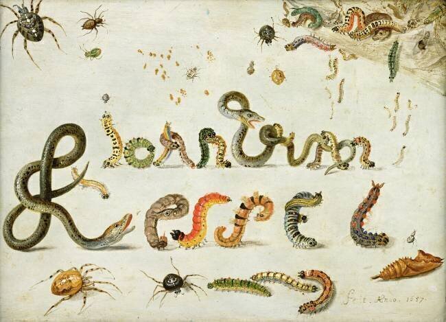 Garden and other spiders Jan van Kessel