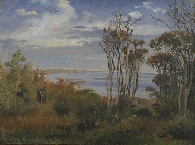 Kolås Wood Johan Thomas Lundbye