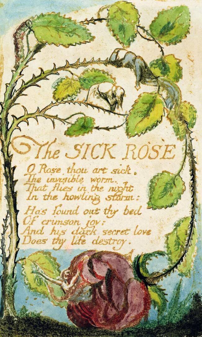 La rose malade (The sick rose) William Blake
