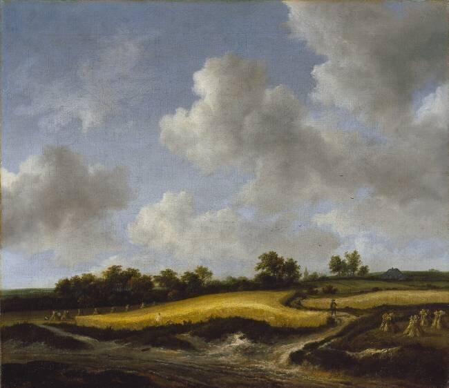 Landscape with a Wheatfield Jacob Isaakszoon van Ruisdael