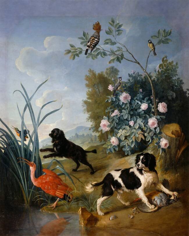 Les Chiens Zerbine et Jemite Alexandre-François Desportes