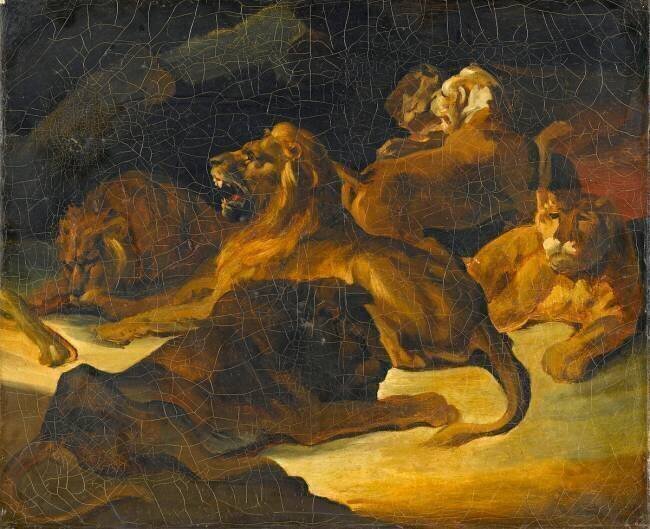 Lions couchés anonymous