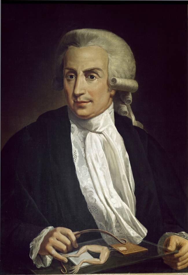 Luigi Galvani with frog specimen Italian School