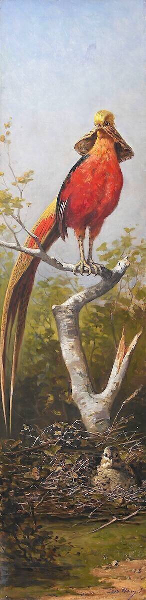 Oiseau exotique rouge Adolphe Yvon