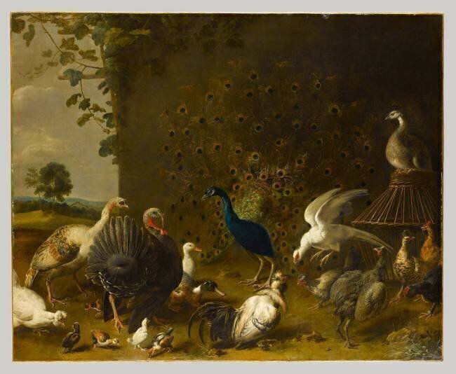 Oiseaux de basse-cour Adriaen van Utrecht