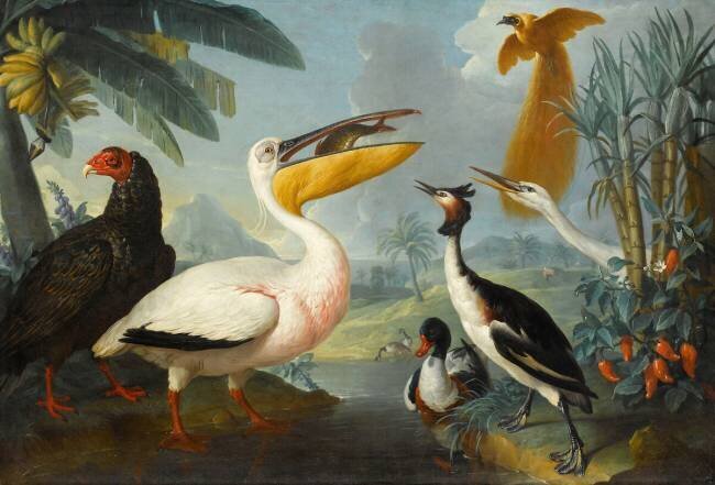 Oiseaux exotiques Alexandre-François Desportes