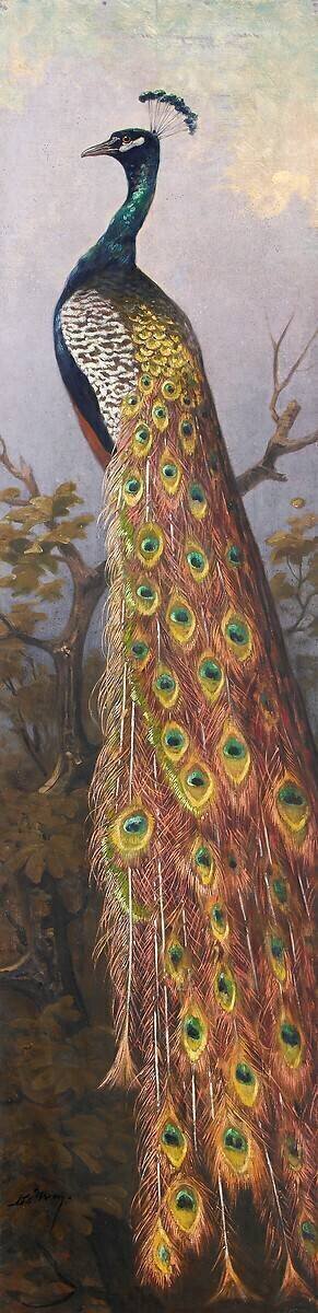 Paon Adolphe Yvon