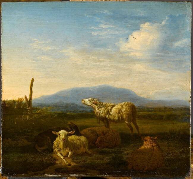 Paysage : moutons et chèvres Adriaen van de Velde