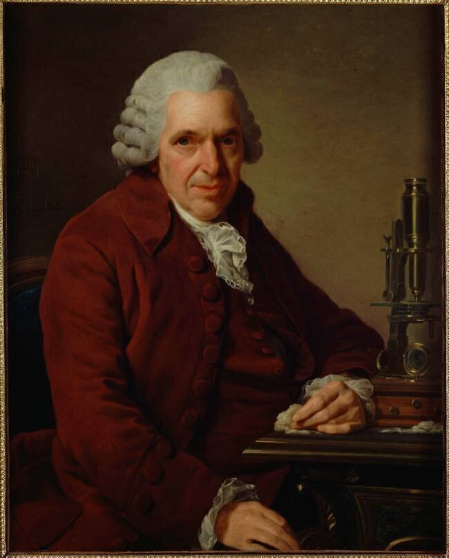 Portrait de Daubenton (1716-1799) Alexandre Roslin