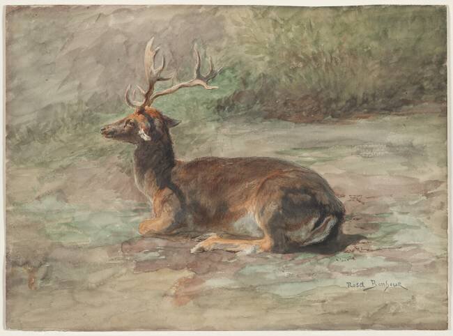 Recumbent Stag Rosa Bonheur