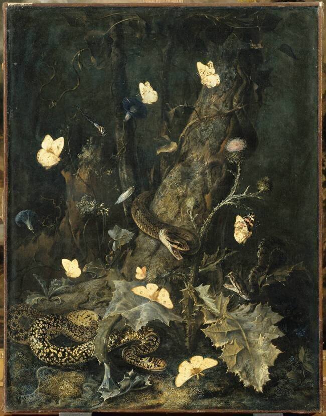Serpents et papillons Otto Marseus van Schrieck