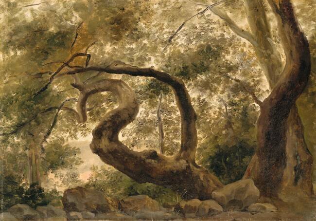 Sous-bois, arbres aux branches tortueuses Pierre Henri de Valenciennes