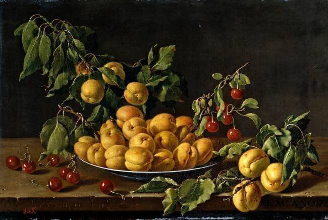 Still Life with Apricots and Cherries Luis Meléndez