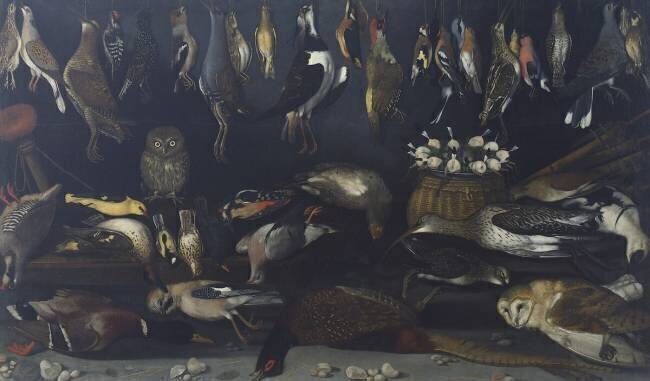 Still life with Birds Caravaggio