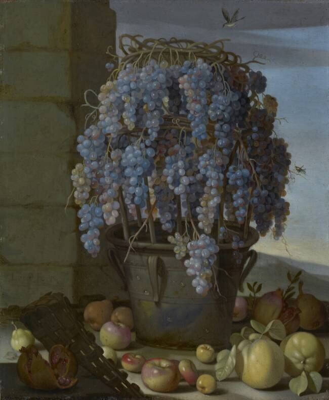 Still Life with Grapes Luca Forte